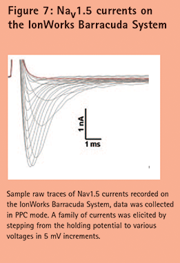 Figure 7: Nav 1.5 currents on the IonWorks Barracuda System